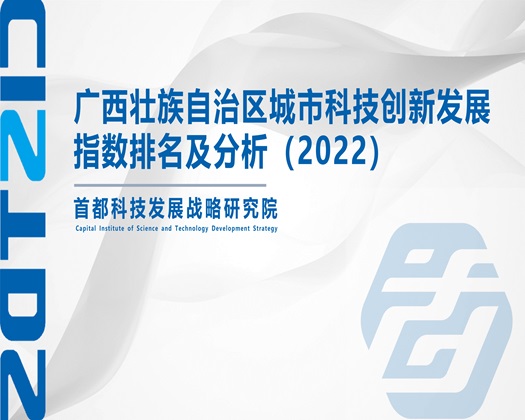 免费干B视频【成果发布】广西壮族自治区城市科技创新发展指数排名及分析（2022）